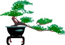 bonsai